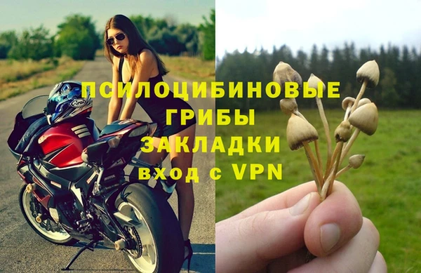прущий лед Алексин
