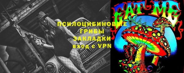 прущий лед Алексин